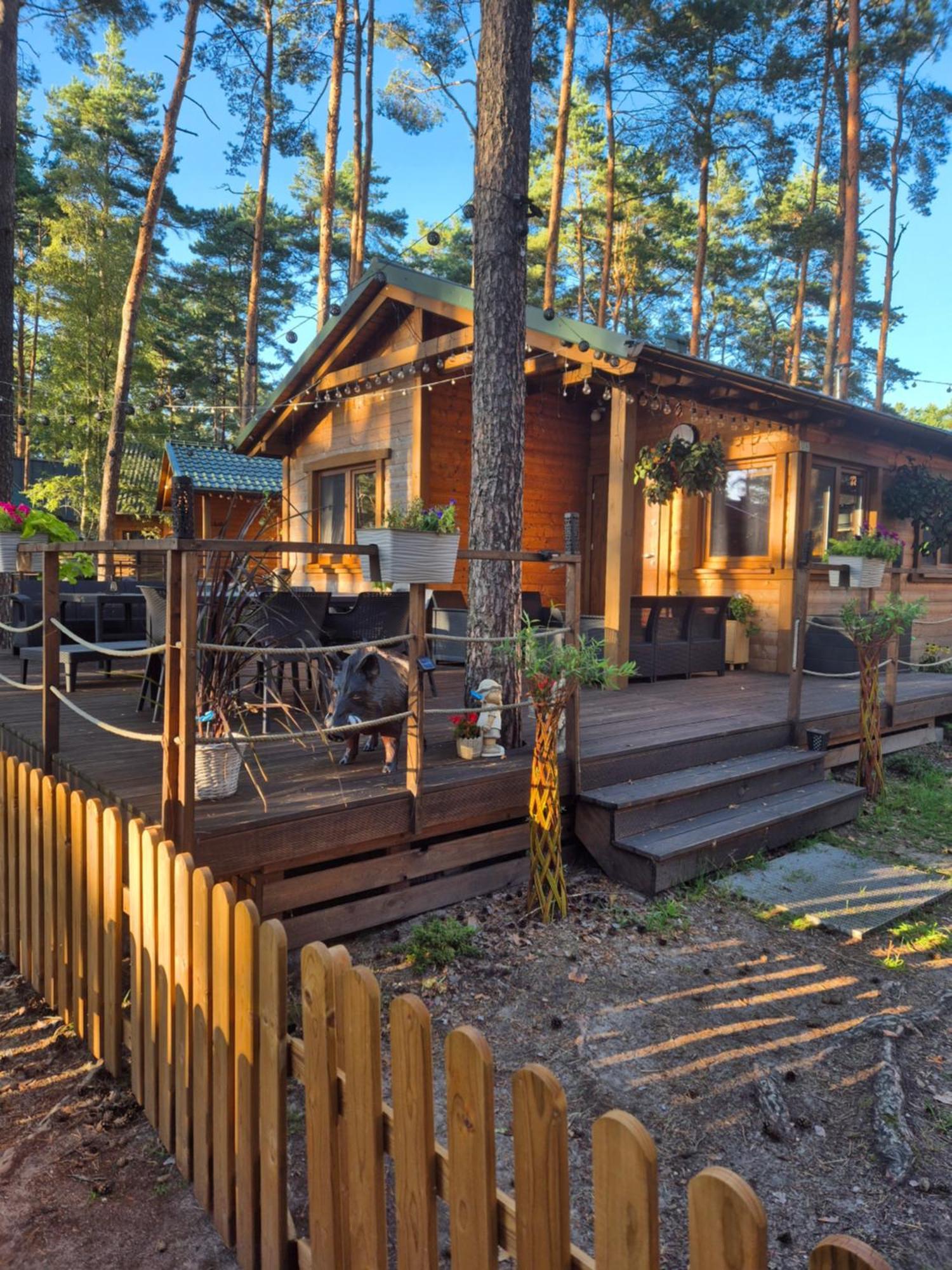Hotel Dzik W Zagrodzie Borsk Exteriér fotografie