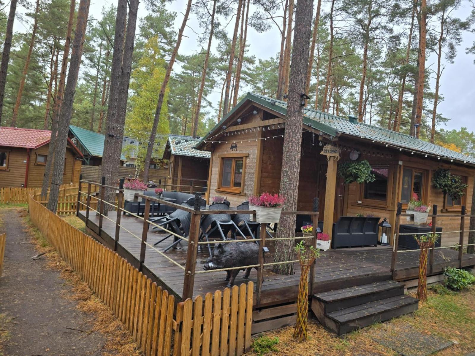 Hotel Dzik W Zagrodzie Borsk Exteriér fotografie