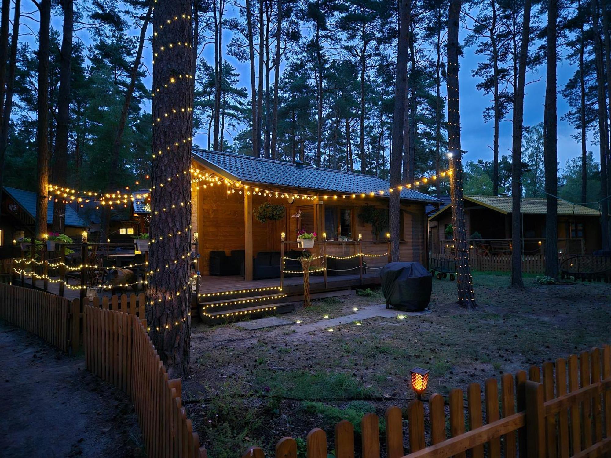 Hotel Dzik W Zagrodzie Borsk Exteriér fotografie