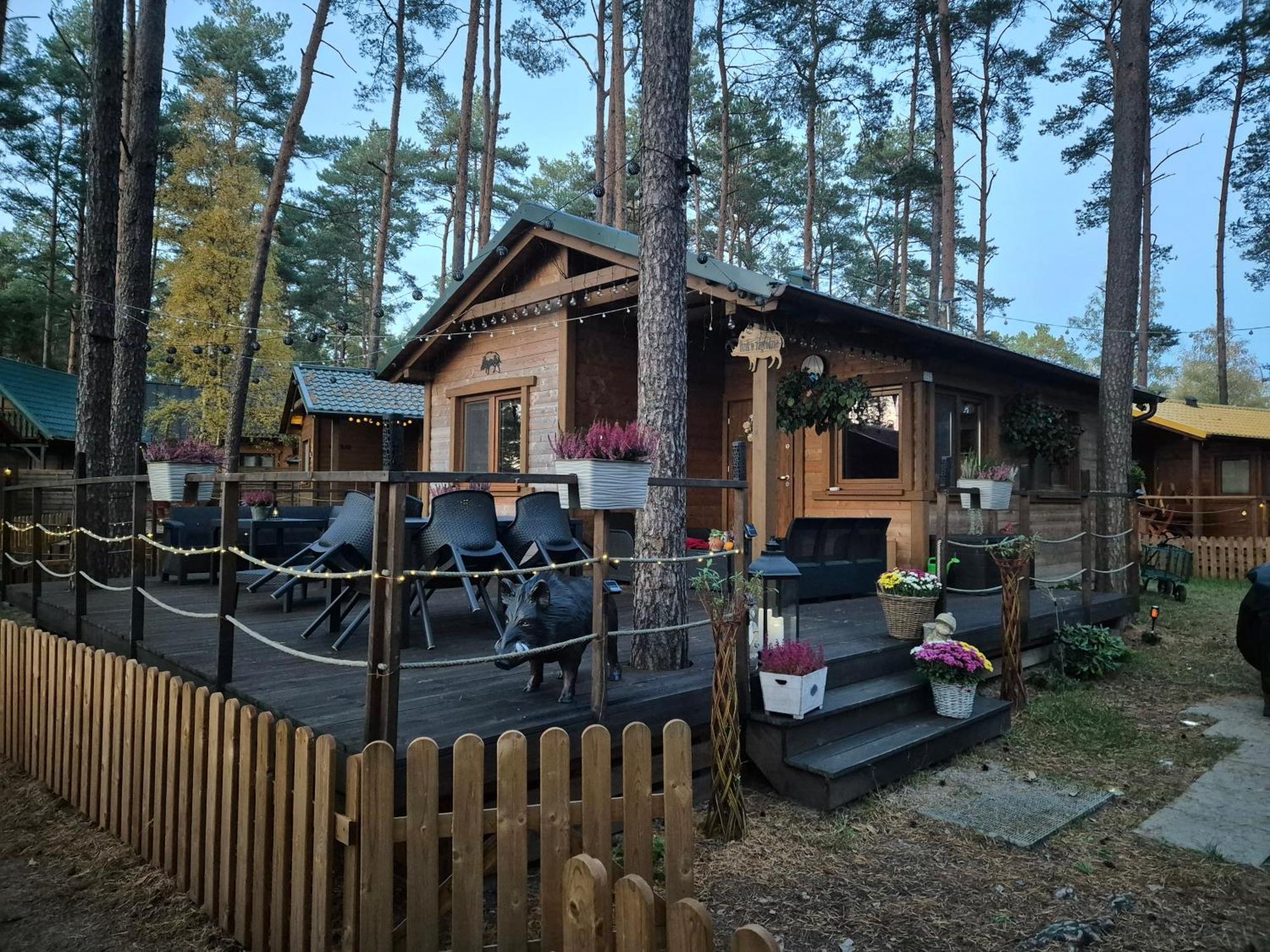 Hotel Dzik W Zagrodzie Borsk Exteriér fotografie